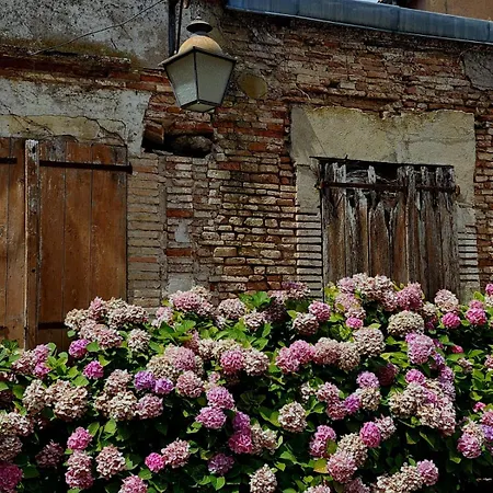 La Cour Verte