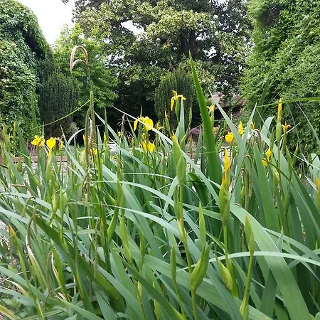 La Cour Verte 가이약