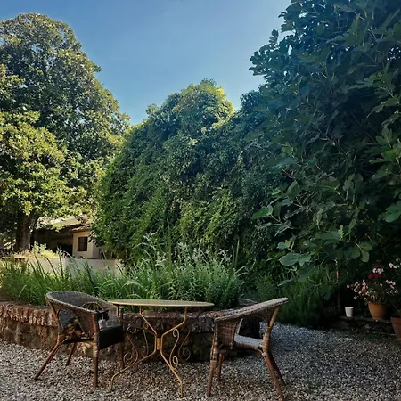 La Cour Verte 3* Gaillac