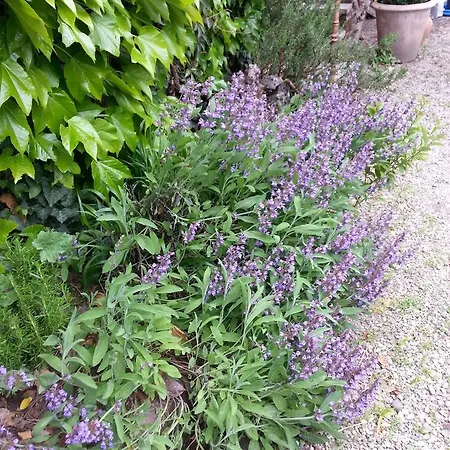 Gasthuis La Cour Verte 3*